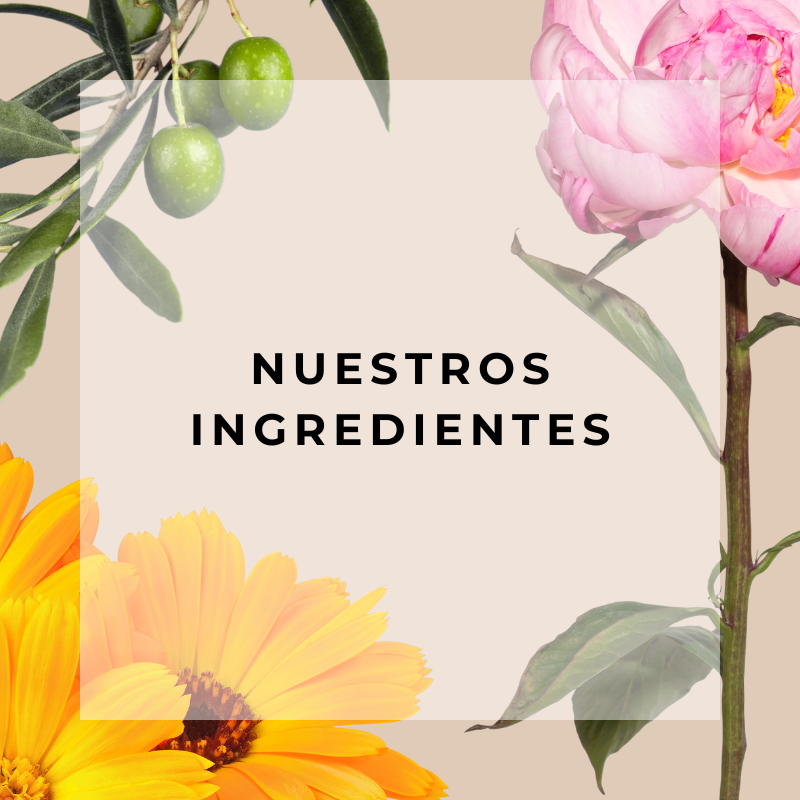Nuestros ingredientes CDF
