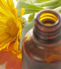 Bisabolol naturel : agent naturellement apaisant pour peaux sensibles !