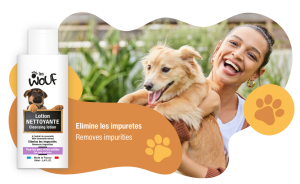 Comment prendre soin de son chien ?