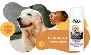 comment nettoyer les oreilles d'un chien