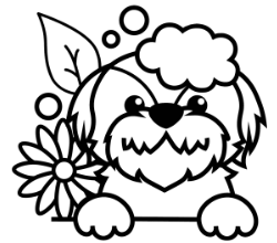 Pictogram of formulas with natural ingredients