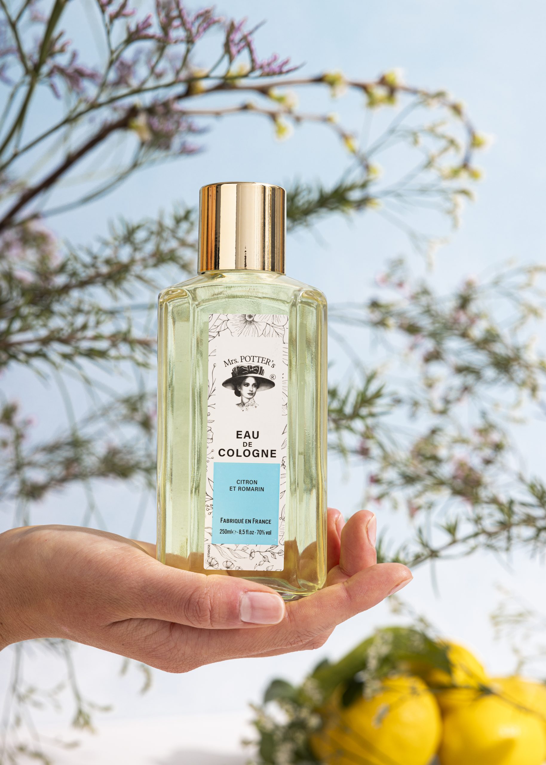 Visuel 1 CITRON ROMARIN