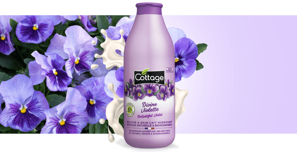 Image égérie COTTAGE Divine Violette V1