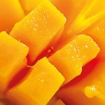 Shampoing à la kératine végétale – Shot Nutrition - 250ml